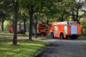 Feuer 1 brannten 3 Lauben Koeln Fuehlingen Kriegerhofstr P154